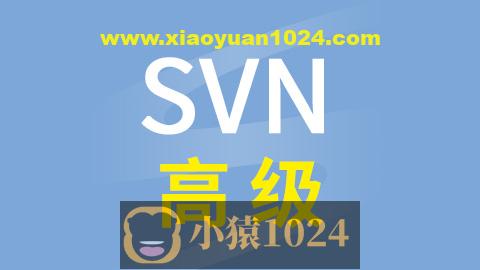 硅谷SVN高级视频