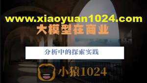 大模型在商业分析中的探索实践