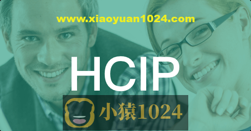 新盟-博雅 HCIP-路由（89-90期）