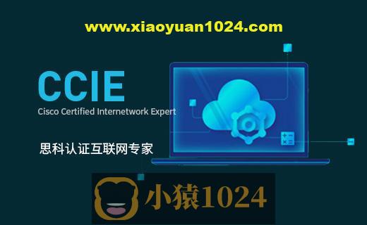 新盟康sir-CCIE-LAB录屏-37期