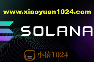 使用Rust和Typescript的Solana区块链开发者训练营(英文版)