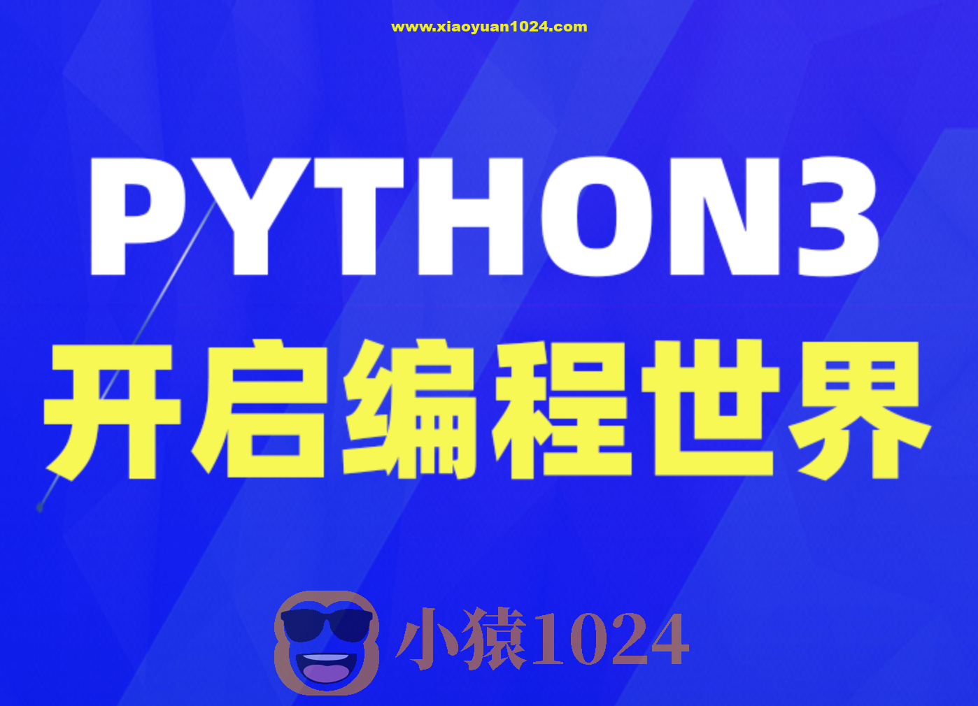 Python 3 编程入门指南(英文版)