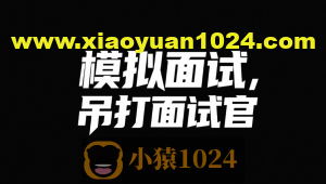 鱼皮模拟面试，吊打面试官