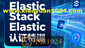 Elastic Stack Elastic认证特训