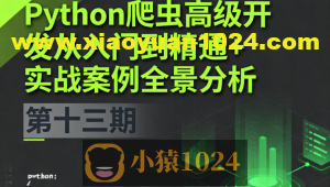 Python爬虫高级开发从入门到精通+实战案例全景分析（第十三期）