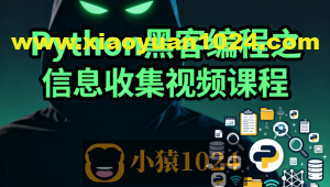 Python黑客编程之信息收集视频课程