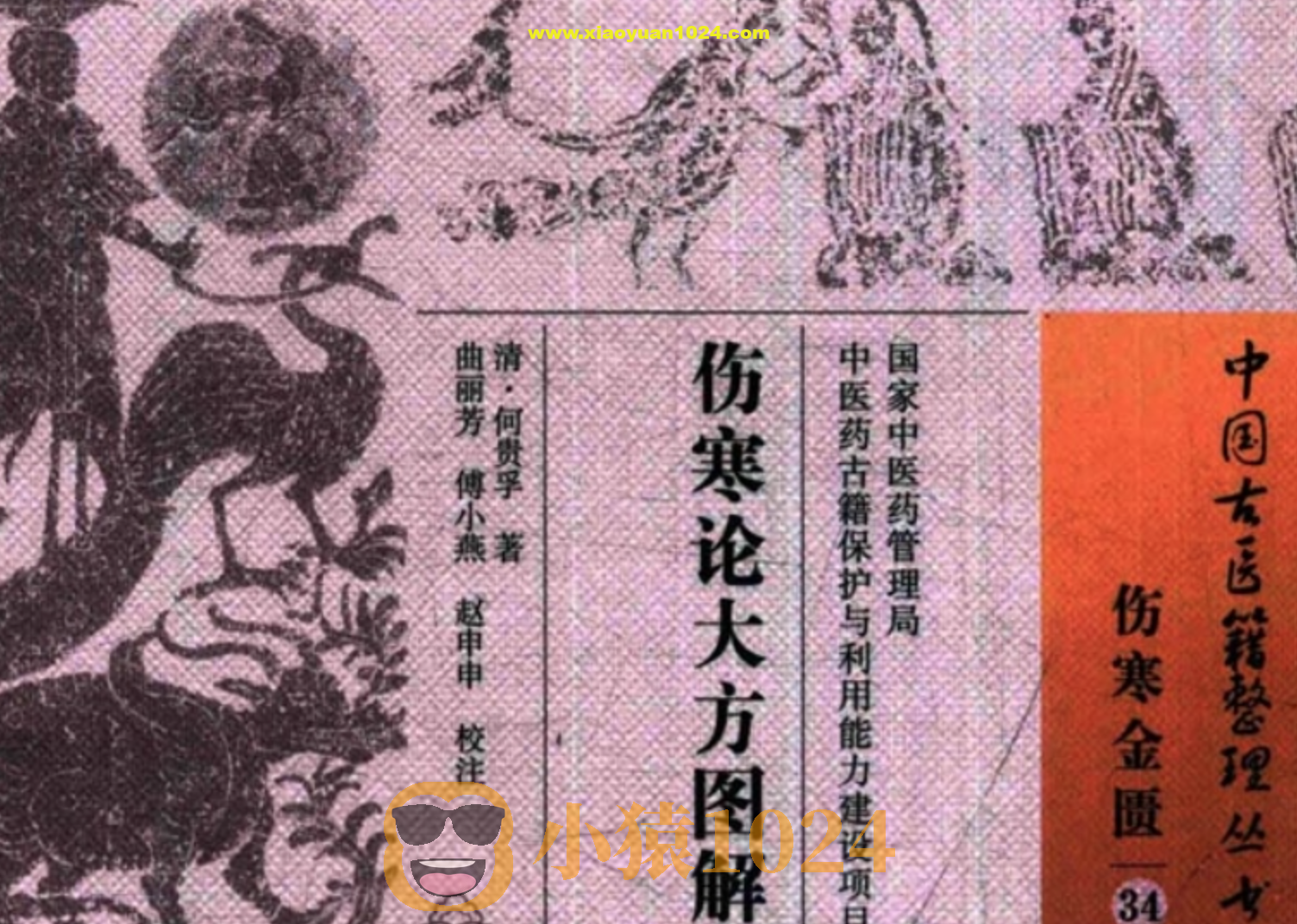 抖音爆火的画出来的伤寒论《伤寒论大方图解》