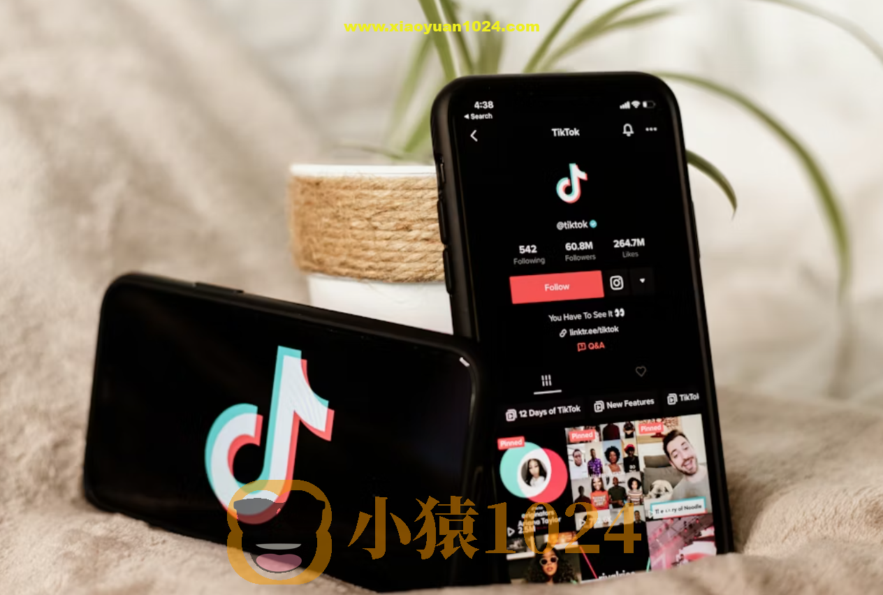 TikTok全套视频课，新手入门+进阶课，短视频ADS-GMV MAX投流打品，日销破1000单打法