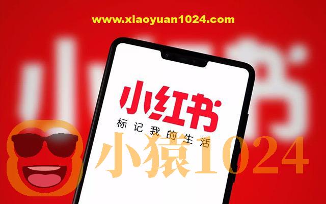 小红书广告投放从0到1的实战课，学完即可开始投放，拒绝无效广告消耗