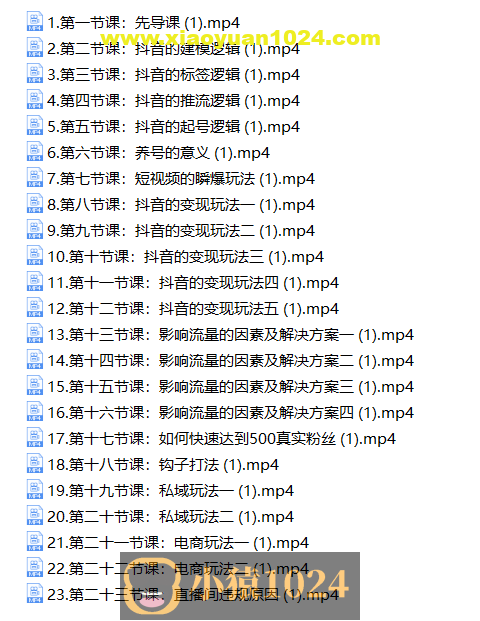 抖音流量认知课，短视频+直播+私域